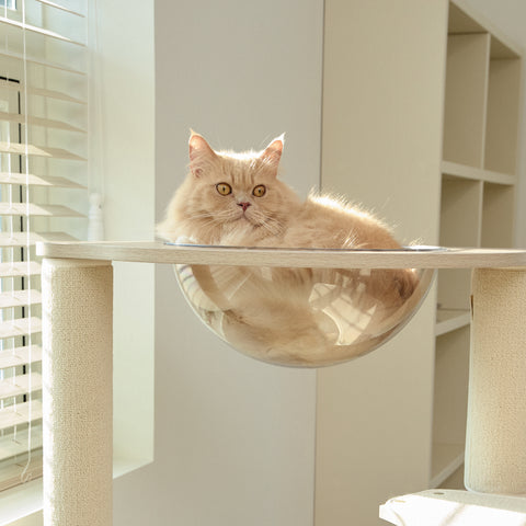 Snooze T4 kattetårn