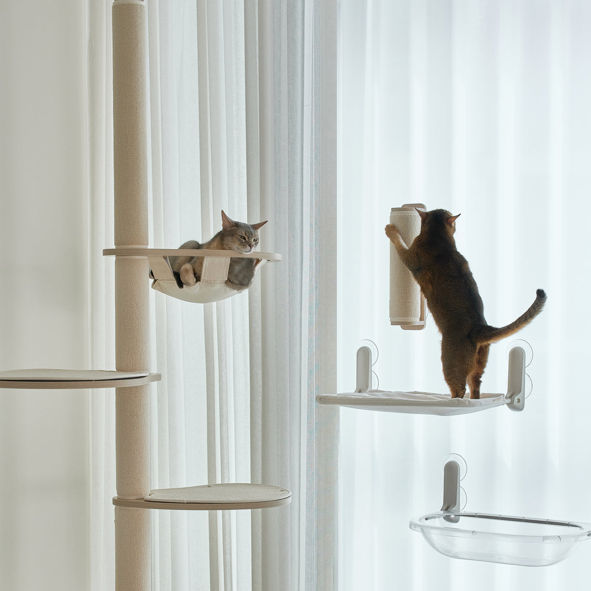 Høyde gir katten ro