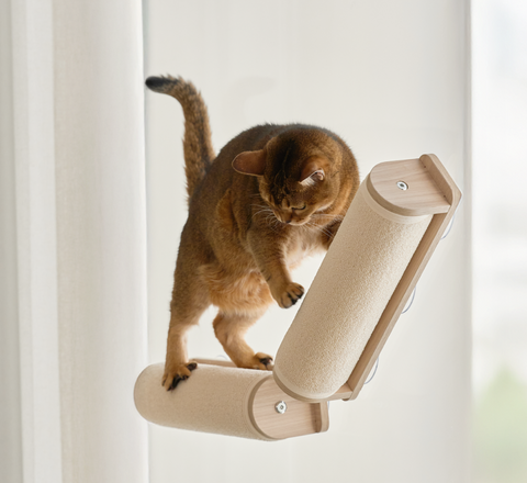 Window scratcher Pole