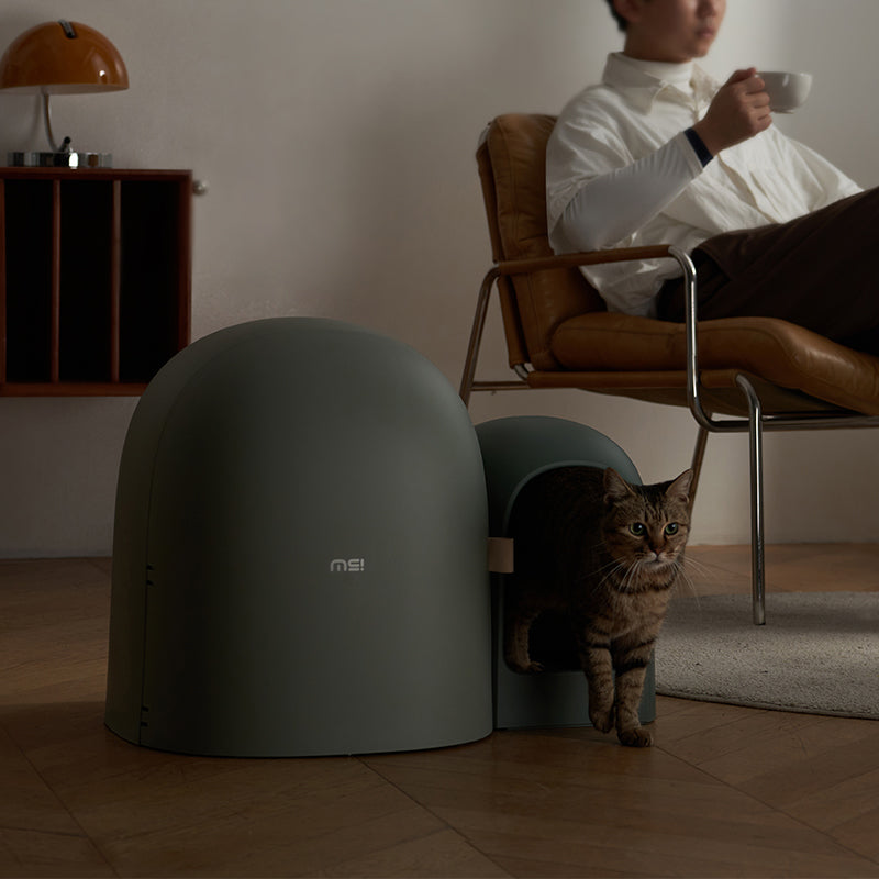 Designet for et hjem der katten bor midt i livet
