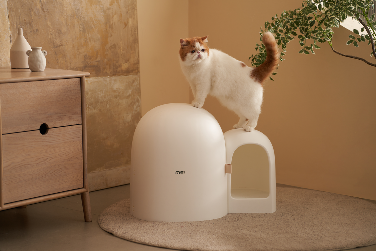 Designet for et hjem der katten bor midt i livet
