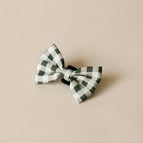 Bowtie clip on