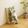 Rubber tree