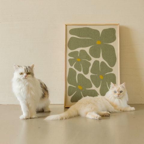Kattenes favoritter