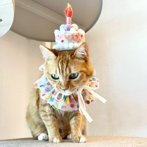 Partyhatt