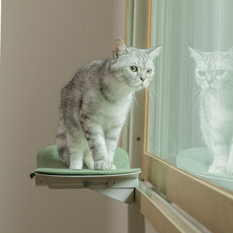Cat wave window seat (beige)