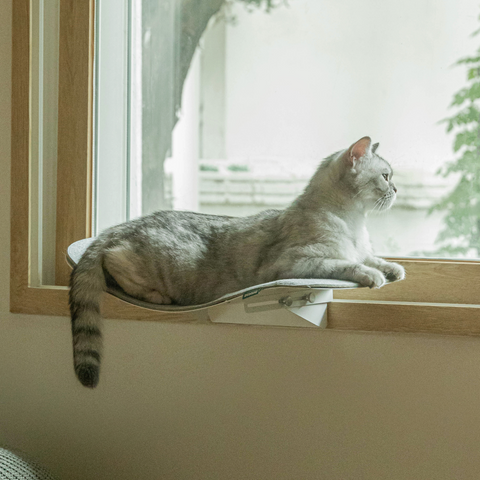 Cat wave window seat (beige)