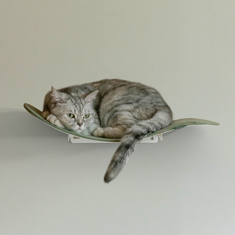 Cat wave window seat (beige)
