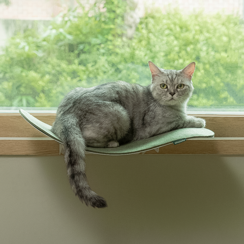 Cat wave window seat (beige)