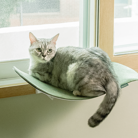 Cat wave window seat (beige)