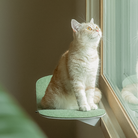 Cat wave window seat (beige)
