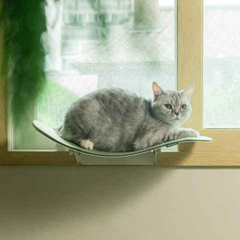 Cat wave window seat (beige)