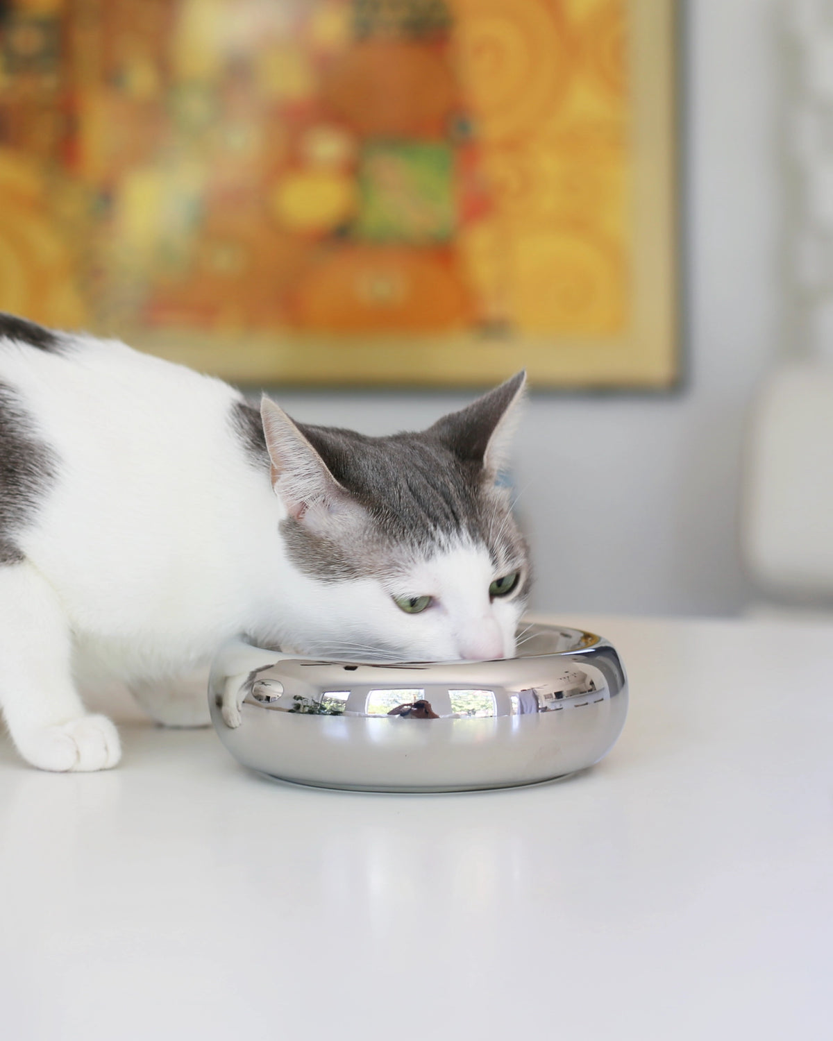 Laget for kjøkkenet, ikke bare for katten