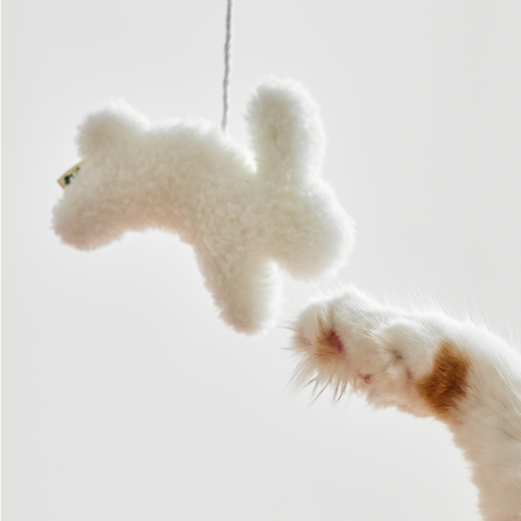 Cloud hengeleke