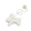 Kanin