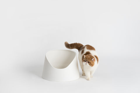 Cat Litter Box (Snow Mountain)