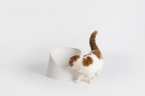 Cat Litter Box (Snow Mountain)