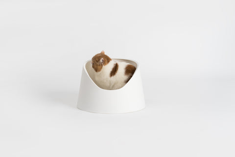 Cat Litter Box (Snow Mountain)