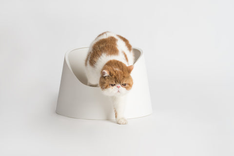 Cat Litter Box (Snow Mountain)