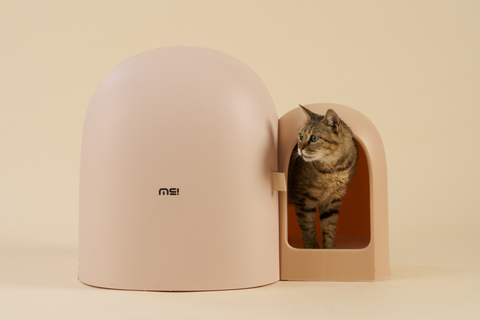 Kattedo i milk tea farge med en katt i