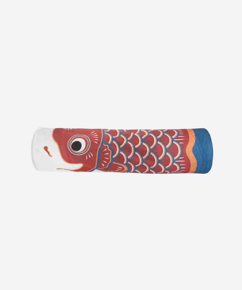 Kattetunnel Koi-fisk