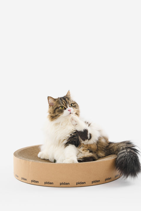 Round Scratch Lounger