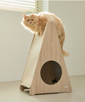 Cat on top of the a1