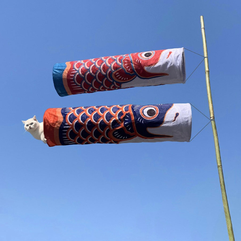 En koi-fisk midt i stua