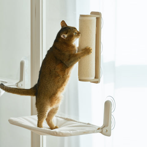 Window scratcher Pole