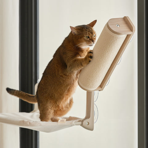 Window scratcher Pole