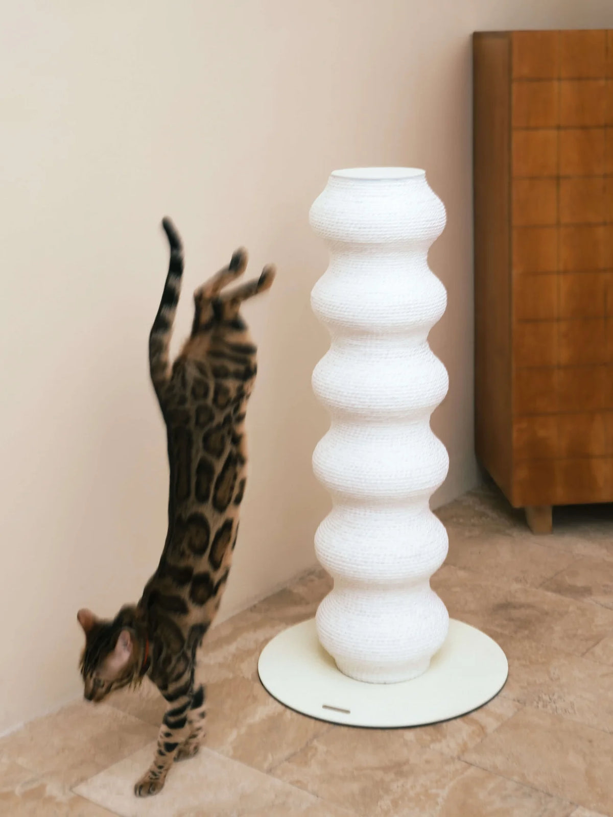 Designet for både hjem og katt